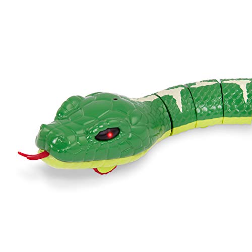 Serpent télécommandé TERRA cadeau idéal pour anniversaire enfant 6 ans - 3