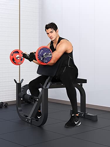 Preacher Curl Bench, Roman Chair Hyperextension Bench For Home Gym Fitness, Heavy Duty Weight Bench Back Extension Exercise Equipment, Loads 330Lbs #TOP1