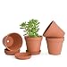 D'vine Dev 4 Pcs Terra Cotta Pots 6" Clay Pots with Tray Clay Ceramic Pottery Planter Cactus Flower Pots Succulent Pots with Drainage Hole - Great for Indoor/Outdoor Plants, Crafts, Wedding Favor