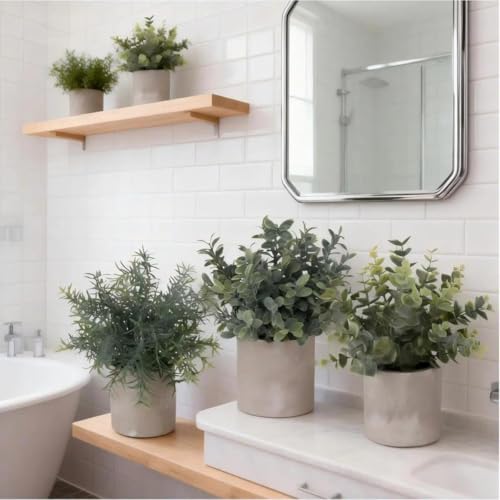 ilauke 3 Mini Plantas Artificiales Decorativas en Maceta de Eucalipto de Plástico, Plantas de Romero Sintético para Hogar, Jardín, Oficina, Balcón, Ventana, Escritorio, Decoración de Habitación - imagen 9