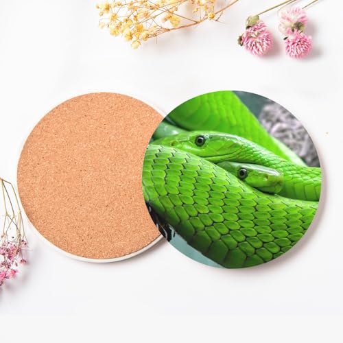 Sous-verres ronds céramique python vert pour apéritif chic au salon - 4