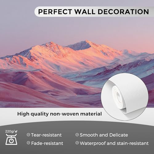 Fresque Murale Intissé pour Agrandir une Grande Chambre Parentale - 8