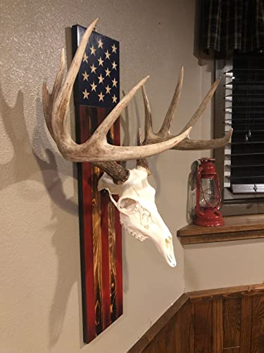 European Mount Skull Hanger, Deer Antler Mounting Kit, Usa Flag Decor Skull Hooker Pedestal, Perfect Prey Display Rack For Hanging And Mounting Taxidermy Deer Antlers And Other Skulls (Hanger Kit-B) #TOP2
