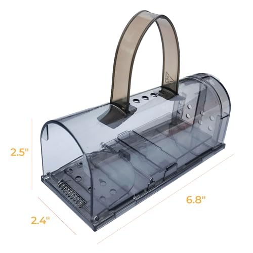 Amazon.com : CTB Dealz Humane Mouse Traps Indoor for Home – No