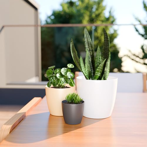 Image of YUCCABE ITALIA SHERA Stella 6 Inch Plastic Plant Pot for Home Decor Indoor Plant Pots for Living Room Plastic Flower Pot for Garden (Beige, 6 INCH - 2 Pcs)