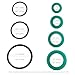 BIGLKNM Hydraulic Cylinder Seal Kit Fit for 1990-2001 Mercedes Benz SL R129, Log Splitter Parts Hydraulic Cylinder Rebuild Kit Replace for OEM 1298001672 1298001772