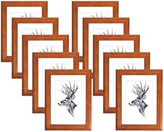 WOLTU Ramka na zdjęcia 13 x 18 cm, zestaw 10 ramek na zdjęcia, drewniane ramki z passe-partout, do zawieszenia w pionie lub poziomie, dekoracja ścienna, srebrna