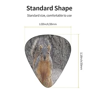 Squirrel Lot de 12 médiators pour guitare basse électrique acoustique - Les Beatles, Paul McCartney, John Lennon, RIngo Starr, George Harrison Squirrel Lot de 12 médiators pour guitare basse électrique acoustique – Image 4
