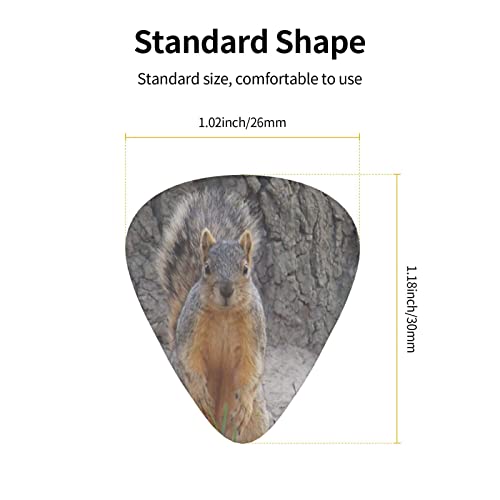Squirrel Lot de 12 médiators pour guitare basse électrique acoustique - Les Beatles, Paul McCartney, John Lennon, RIngo Starr, George Harrison Squirrel Lot de 12 médiators pour guitare basse électrique acoustique – Image 5