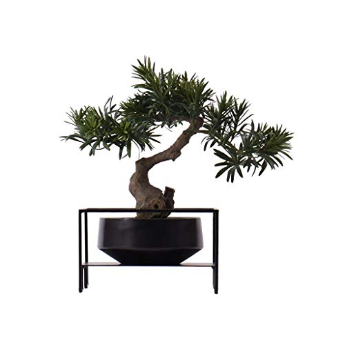 lH~ V }V~[Vc[ OK[f z[ItBX ^V~[Vc[ lH~͔A tFCN~