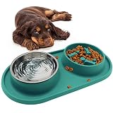 BNOSDM Slow Feeder Dog Bowls Double Puppy Slow Feeder No Spill Non-Skid Silicone Mat Dry Food Slow E