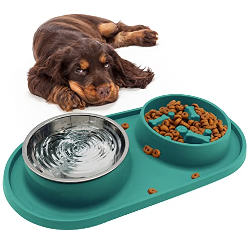 Bnosdm Slow Feeder Dog Bowls Double Puppy Slow Feeder No Spill Non-Skid Silicone Mat Dry Food Slow Eating Bowl Removable Stainless Steel Pet Bowls For Small Medium Dogs Cats Green #TOP19