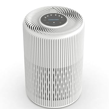 best indoor plant to purify air for allergies