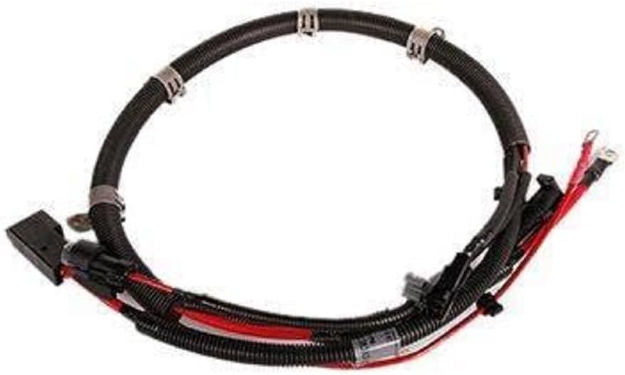 ACDelco GM Original Equipment 25907125 Positive Battery Cable : Automotive