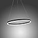 Produktbild Licht-Trend Ring M LED-Hängeleuchte dimmbar über Schalter Ø 60 cm Anthrazit Ringleuchte LED-Ring Pendel Esstischlampe Wohnzimmerlampe