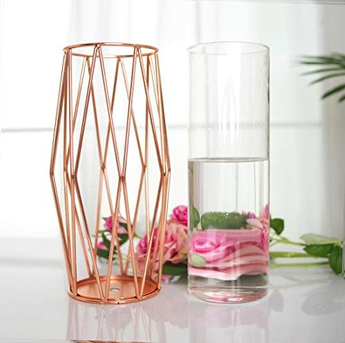 Geometric Glass Flower Vase Metal Holder, Crystal Clear Transparent Planter Flowers Vase,Handcrafted Plating Metal Vase,Clear Vase Decorative for Home Office Wedding Holiday Party Celebrate(22cm×13cm)