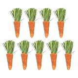 BESPORTBLE 9 Pezzi Bastoncini da Masticare a Carota, Denti Sani