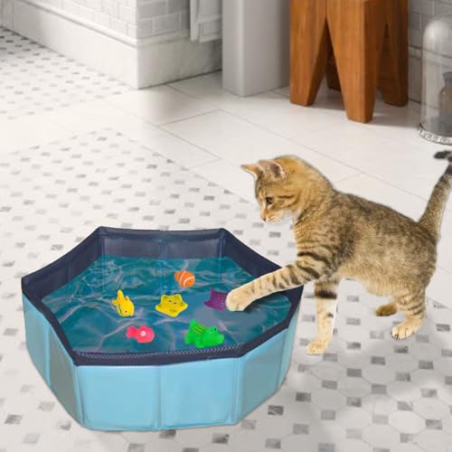 qixeuoa Katzen Pool Wasserspielzeug,Wasser Poolspielzeug Für Katzen,6 Stück Schwimmendes Pool Quietschspielzeug,Für Den Innen Und Außenbereich,Garten,Schwimmbad,Fluss