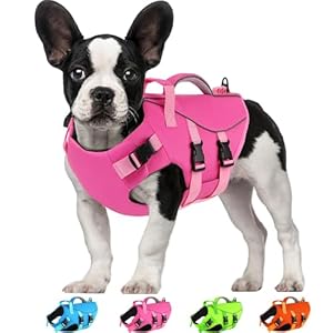 Dogcheer Dog Life Jacket with Double Rescue Handle, Reflective Dog Harness Life Vest for Swimming Boating, Adjustable Pet Swim Vest Puppy Flotation Device DFD for Small Medium Large Dogs – Pink XS