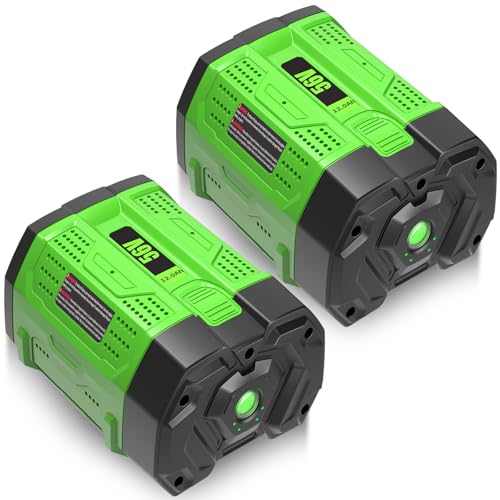 Image of 2 Packs 56 Volt Lithium ion Battery BA5600 Replacement for EGO 56V Battery 12000mAh(Green)