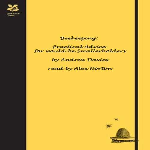 Cover art for The Wonders of Beekeeping