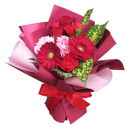 a  Mtg ̂܂܏ ԑ u[P Iׂ6  AWg  ԕrsv o[Xf[ v[g LO N j j j җ hV  މ@j   ybg X^h (pbVb