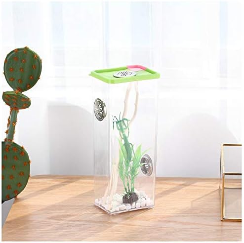 crapelles Colored Butterfly Spider Bottle Frog Insect cage Mantis Habitat Cricket Snail Box Breathable Outdoor Science and Natural Animal Exploration Tools Bug Catcher Critter Caterpillars Container