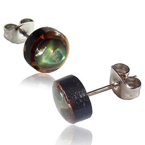 Earth Accessories Organic Shell Stud Earrings for Women - Stud Earring Set surrounded by Coconut Shell with Abalone, Mother of Pearl, and More