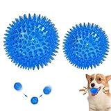 EFYUE Squeaky Dog Toys,Interactive Dog Toys with Sounds Two Sizes, Cmbined Toy Ball, A Ball Full of Bounce (Blue)