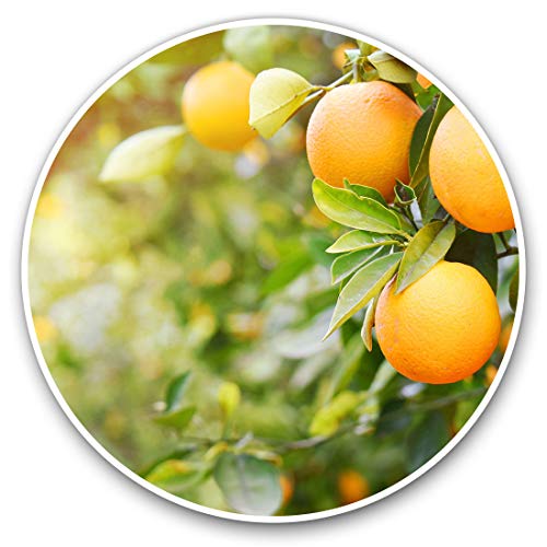 2 x Heart Stickers 10 cm - Orange Tree Healthy Fruit Food Fun Decals for Laptops,Tablets,Luggage,Scrap Booking,Fridges #3538
