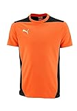Diseño moderno PUMA Foundation tee Team - Camiseta para Hombre, Color Naranja, Hombre, Foundation tee - Camiseta de Manga Corta, Color Naranja, Naranja, Medium