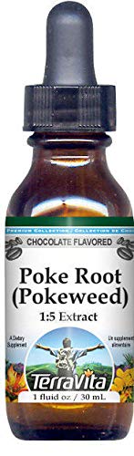 Poke Root (Pokeweed) - Extracto líquido de glicerita (15), sabor a chocolate (1 oz, ZIN 523975), paquete de 2