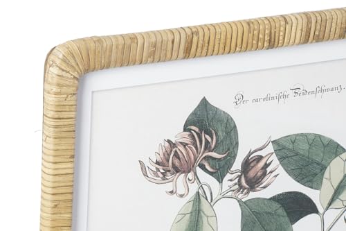 Cuadro cristal mdf botanico pour raviver un mur blanc terne