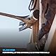OX Pro Framing Hammer - 28 oz