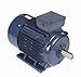 40 hp 30 kw 1800 RPM 200L Frame 230/460V Marathon Electric Metric Motor # R346A