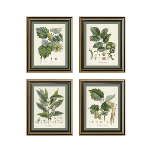 Gatheroad Vintage Botanical Wall Art Set of 4 - Sage Green Bathroom Wall Decor & French Country Kitchen Decor, 8x10 Antique Tree Branch & Leaf Pictures, Rustic Farmhouse Nature Prints (Unframed)
