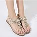 Sandalias de Vestir Mujer,LANSKIRT Zapatos Mujeres Verano 2019 Chanclas Bohemias Sandalias Romanas...