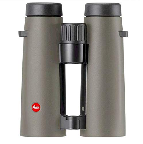 Preisvergleich Produktbild Leica Noctivid 8x42 Green Binocular 40386