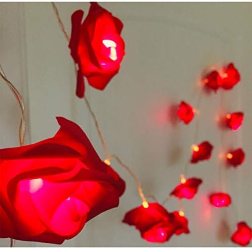 Alodidae Indoor String Rose Lights, 20 Led Battery Operated Flower Hanging Lights for Valentine's Day Wedding Anniversary Spring Party Decorations, Teen Girls Bedroom Decor, Gift Idea (Red)