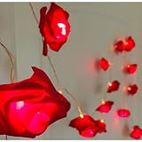 Alodidae Indoor String Rose Lights, 20 Led Battery Operated Flower Hanging Lights for Valentine's Da