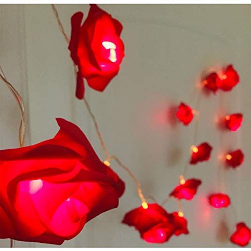 Alodidae Indoor String Rose Lights, 20 Led Battery Operated Flower Hanging Lights For Valentine's Day Wedding Anniversary Spring Party Decorations, Teen Girls Bedroom Decor, Gift Idea (Red) #TOP2