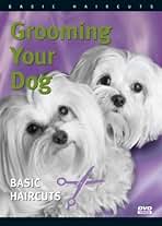ドギーグルーミング教材DVD ドギーグルーミング教材DVD Amazon.com: Dog Grooming Dvd