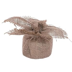 Vickerman 24" Vienna Twig Artificial Christmas Tree - Unlit - Seasonal Indoor Home Decor with Decorative Burlap Base - Reliable and Durable - Small Decorative Christmas Tree Vickerman 24 Vienna Twig Artificial Christmas Tree Unlit Seasonal Indoor Home Decor with Decorative Burlap Base Reliable and Durable Small Decorative Christmas Tree