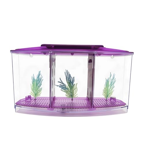 Vestamore Desktop Mini Breeding Isolation Box, Betta Fish Tank, Three-Compartment Aquarium, Light Plastic Design, Blue White Led Lights, for Betta Fish, Hermit Crabs, Office Decor
