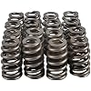 Sloppy Stage 2 Camshaft Kit for LS LS1 LS2 LQ4 LQ9 4.8 5.3 5.7 6.0 6.2L E1840P (Camshaft, Springs, Seals, Pushrods, Gaskets)