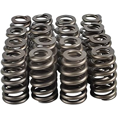 Sloppy Stage 2 Camshaft Kit for LS LS1 LS2 LQ4 LQ9 4.8 5.3 5.7 6.0 6.2L E1840P (Camshaft, Springs, Seals, Pushrods, Gaskets)