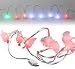 Produktbild Fontastic Motiv LED Ladekabel, USB-C, 1,2m, 8 LEDs Rosen