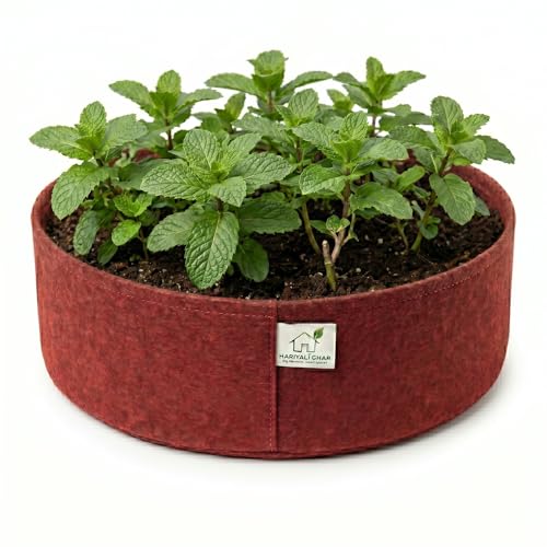 Image of 400 GSM Geo Fabric Round Grow Bags 12x6 Inch, Red Planting Bags for Terrace and Kitchen Gardening Pack of 1
