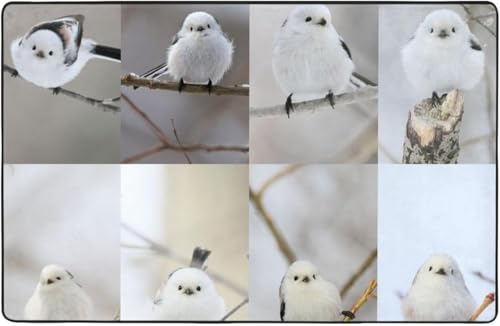 ������� �A�j�� �� �t���A�}�b�g �ϖ��Ր� �y�� �h�_�j �R�ۖh�L ���[ ����~�ߕt �I�[���V�[�Y���^�C�v �􂦂� 100×150cm