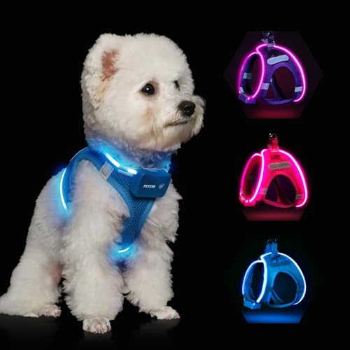 Feycig Leuchtend Hundegeschirr LED Aufladbar - Leuchtgeschirr Leuchtendes & Reflektierendes für Welpe Klein Mittlere Hund Brustgeschirr Hundegeschirr Atmungsaktiv Leucht Geschirr (Blau Small)